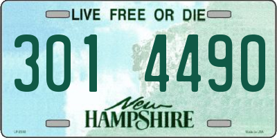 NH license plate 3014490