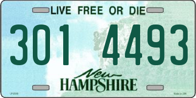 NH license plate 3014493