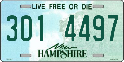 NH license plate 3014497