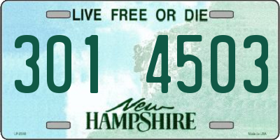NH license plate 3014503