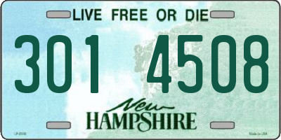 NH license plate 3014508