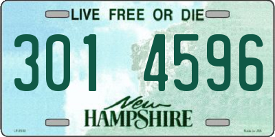 NH license plate 3014596