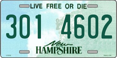 NH license plate 3014602