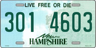 NH license plate 3014603