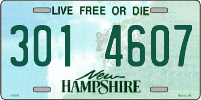 NH license plate 3014607