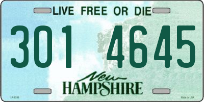 NH license plate 3014645