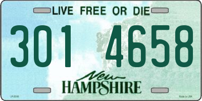 NH license plate 3014658