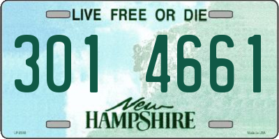 NH license plate 3014661