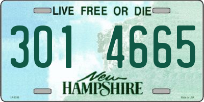 NH license plate 3014665