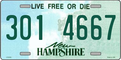 NH license plate 3014667