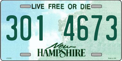 NH license plate 3014673