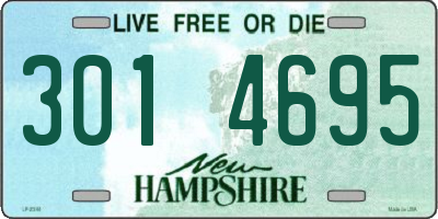 NH license plate 3014695