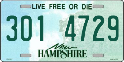 NH license plate 3014729