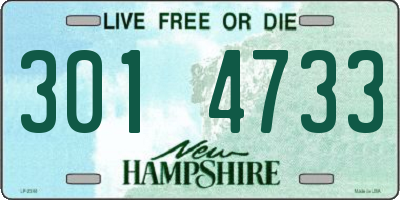 NH license plate 3014733