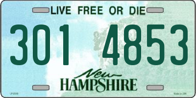 NH license plate 3014853