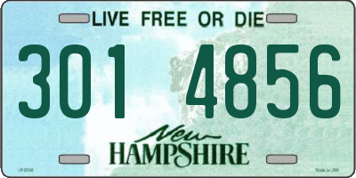 NH license plate 3014856