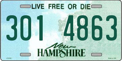 NH license plate 3014863