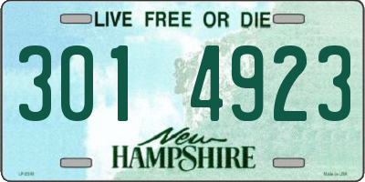 NH license plate 3014923