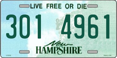 NH license plate 3014961