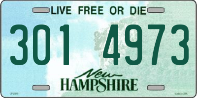 NH license plate 3014973