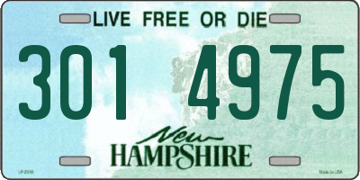 NH license plate 3014975