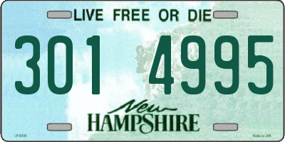 NH license plate 3014995