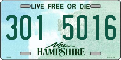 NH license plate 3015016