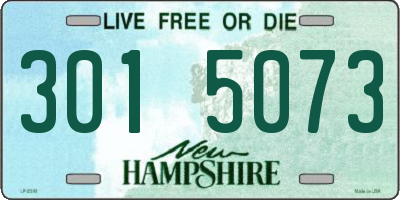 NH license plate 3015073