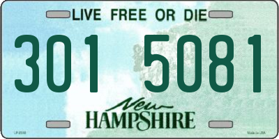 NH license plate 3015081