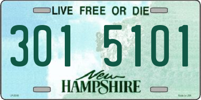 NH license plate 3015101