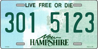 NH license plate 3015123