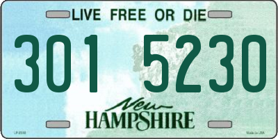 NH license plate 3015230