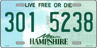 NH license plate 3015238