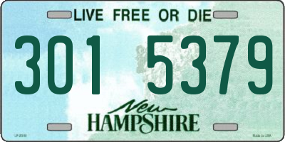 NH license plate 3015379