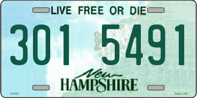 NH license plate 3015491