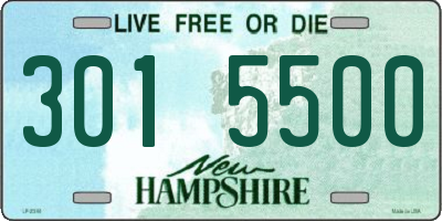 NH license plate 3015500