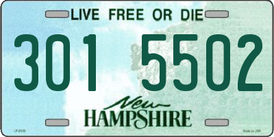 NH license plate 3015502