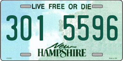 NH license plate 3015596