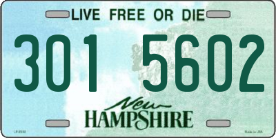 NH license plate 3015602