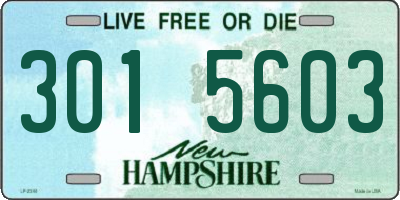 NH license plate 3015603