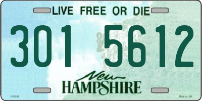 NH license plate 3015612