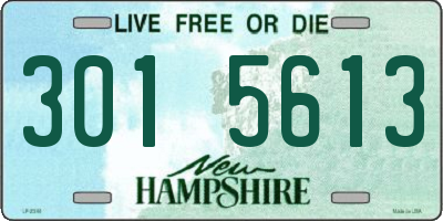 NH license plate 3015613