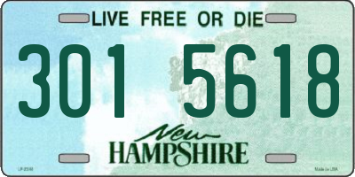 NH license plate 3015618