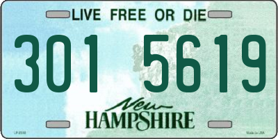 NH license plate 3015619