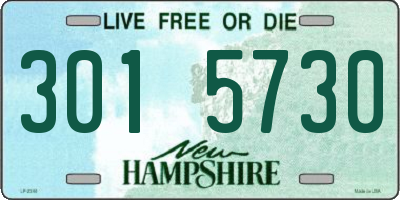 NH license plate 3015730