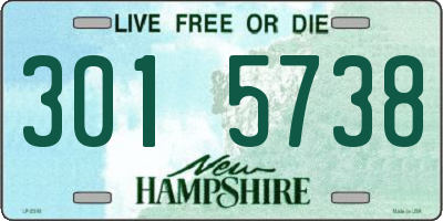 NH license plate 3015738