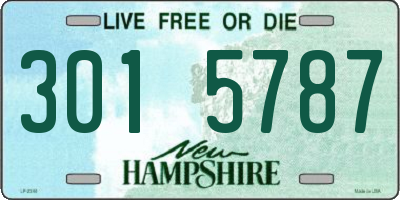 NH license plate 3015787