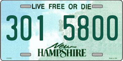 NH license plate 3015800