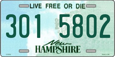 NH license plate 3015802