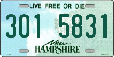 NH license plate 3015831
